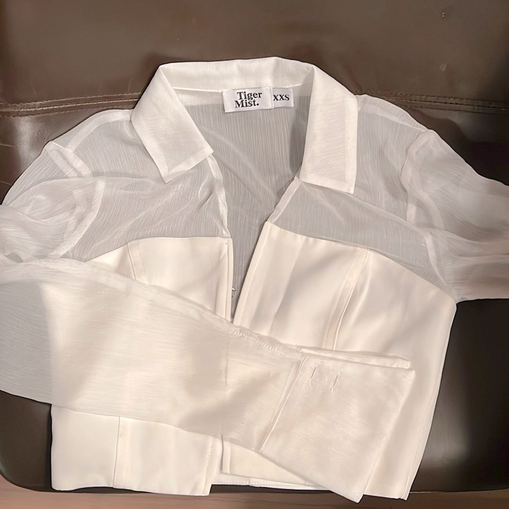 TIGER MIST Sheer collared corset longsleeve top
